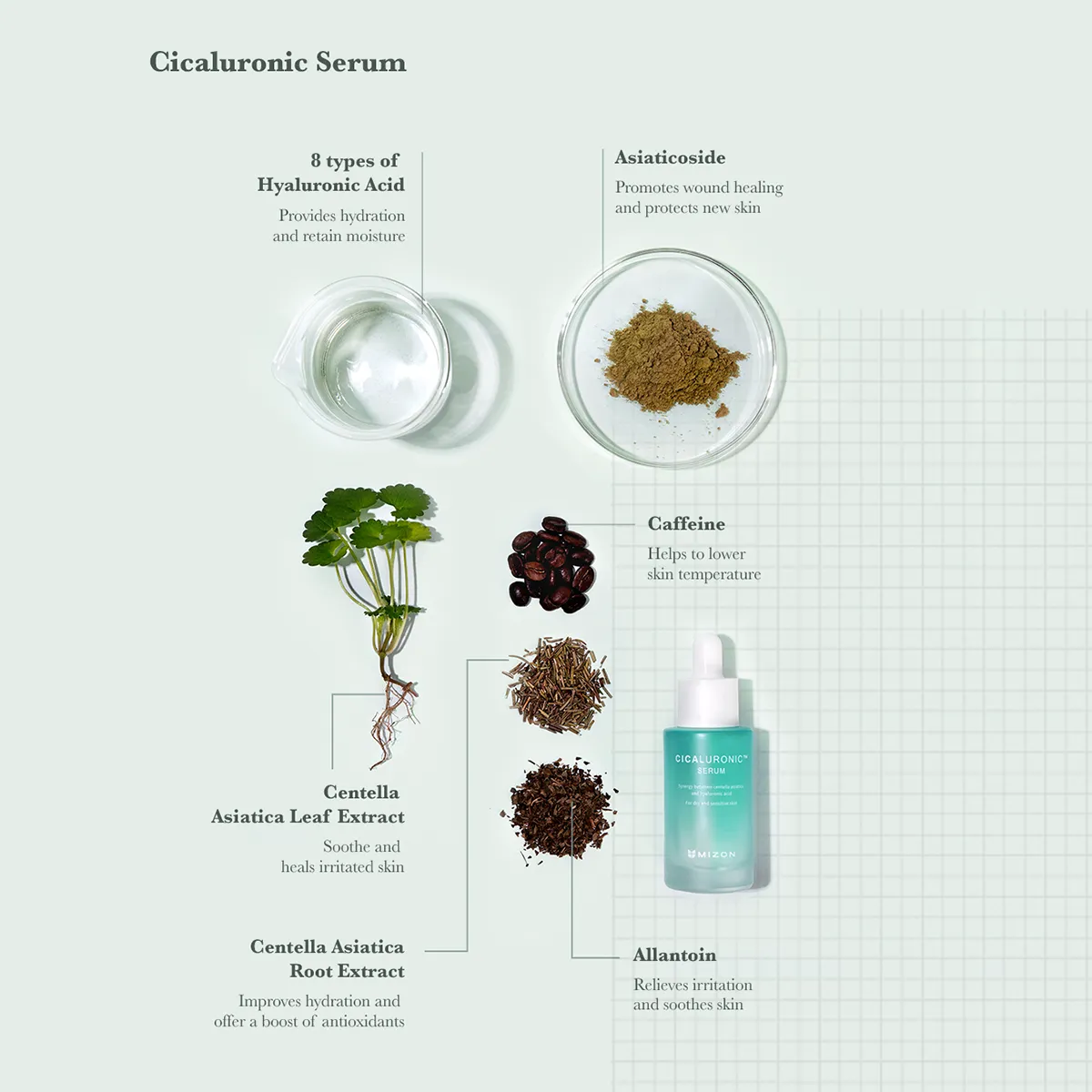 Cicaluronic Serum