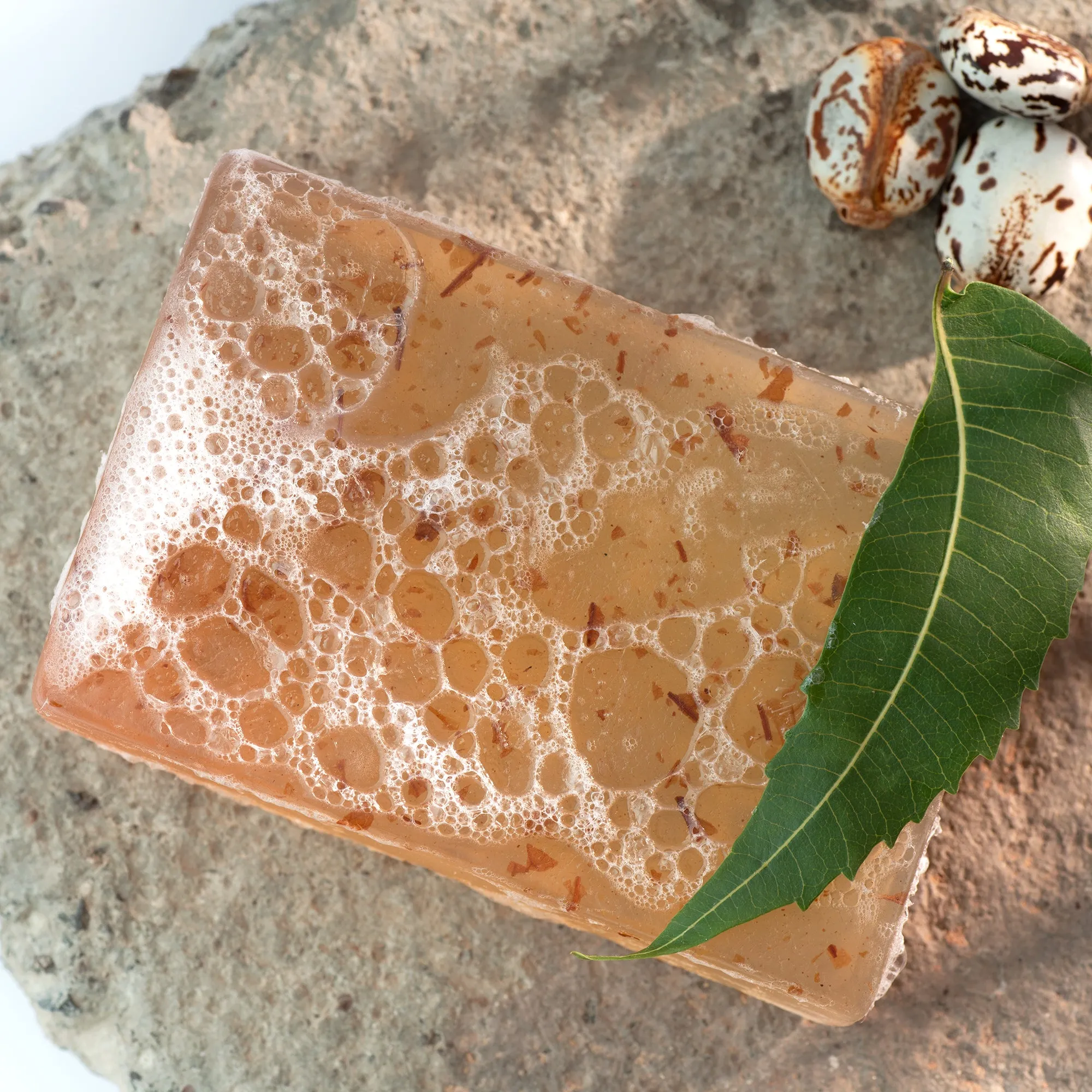 Shuddhi Bathbar 100gm